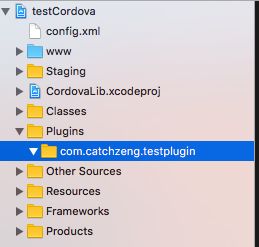 基于Cordova開發iOS應用 插件開發與應用軟件構建全攻略